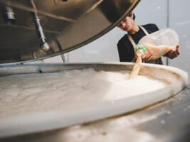 Tinh chất men bia tươi là gì? Lợi ích của men bia với sức khỏe