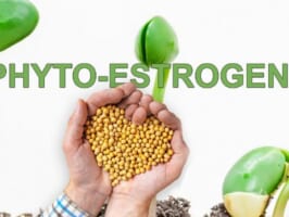 PHYTOESTROGENS – MÓN QUÀ THIÊN NHIÊN DÀNH CHO