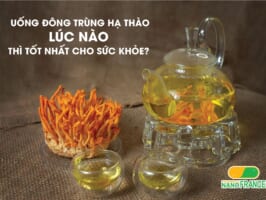 Uống đông trùng hạ thảo lúc nào thì tốt nhất cho sức khỏe