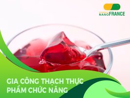 gia công thạch thực phẩm chức năng