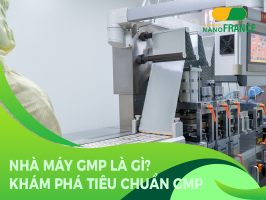 nhà máy gmp là gì